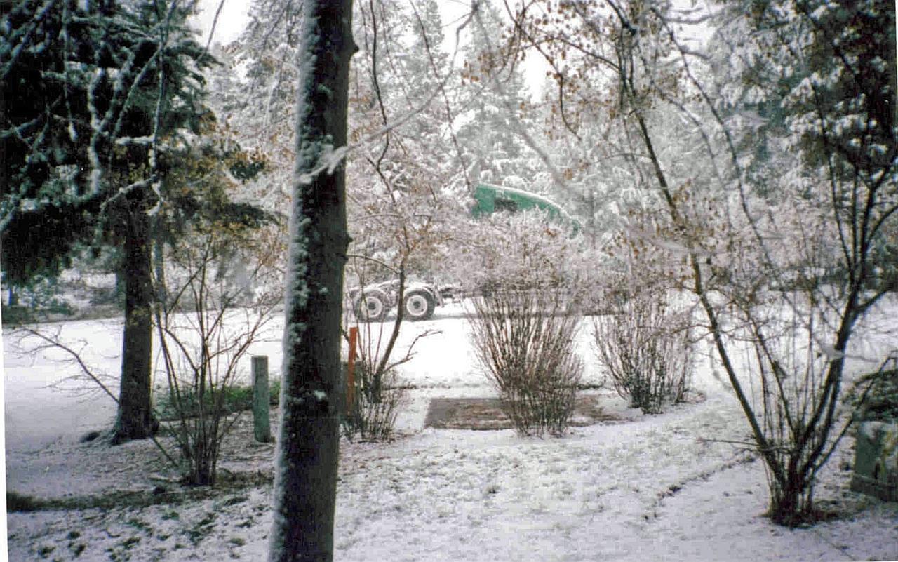 Fleur De Lac Europeran Inn Lake Arrowhead Zewnętrze zdjęcie